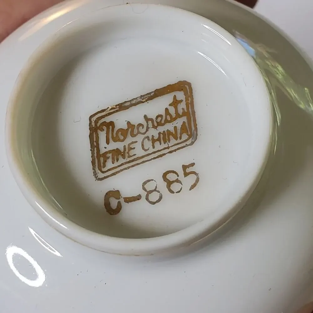 Vintage Norchest Fine China  Pink rose and gold trim unique tea cup &saucer